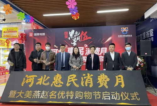促消费 振经济 河北国美惠民消费月活动启动