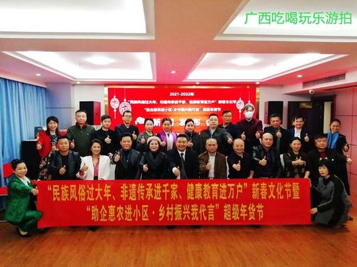 双线结合,进驻300个小区,新春文化节和超级年货节助推乡村振兴