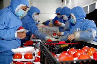 江苏省工商业联合会、江苏省总商会与江苏省商业联合会 推动区域经济繁荣的重要力量